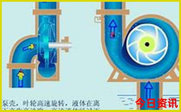 惠州双月湾必去景点
